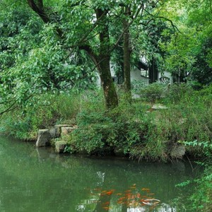 Yuelu Shuyuan Yuelu Shuyuan