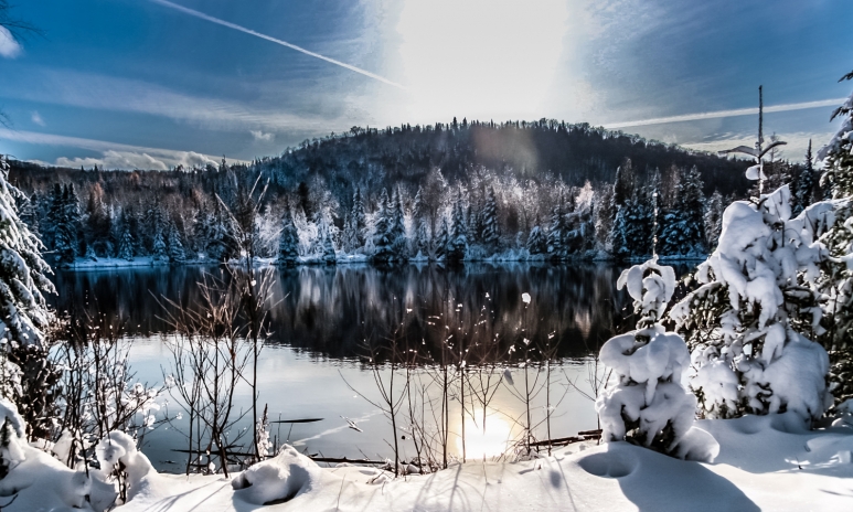 ThinkstockPhotos-528678491-Pierdelune.jpg