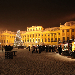 Market Schönbrunn