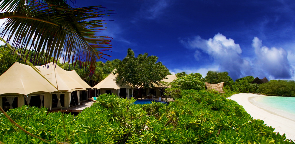 Banyan_Tree1.jpg