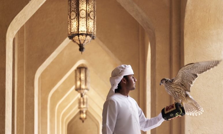 pigeon_Archway_Falconer.jpg
