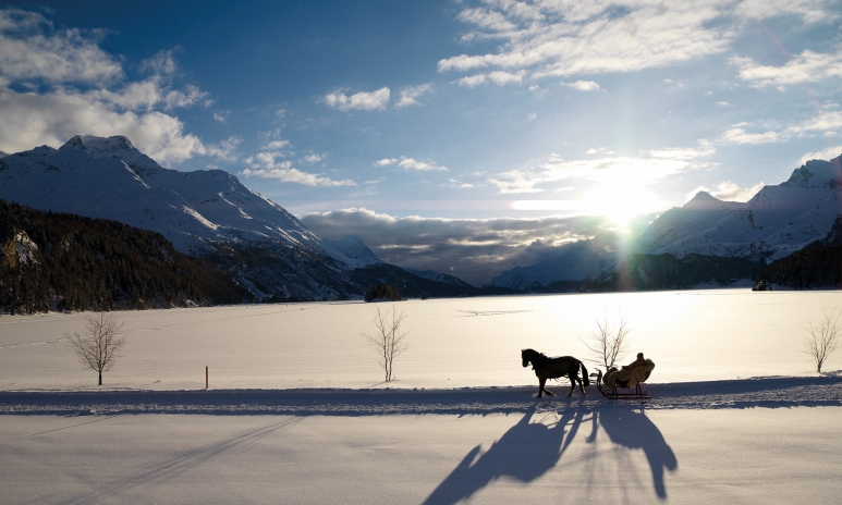 Switzerland_Destination_Winter_Horse_H_04.jpg