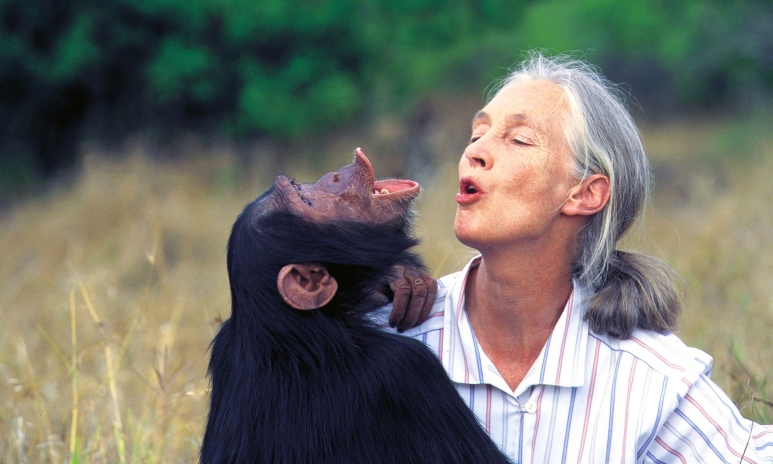 Jane-goodall-kissing.jpg