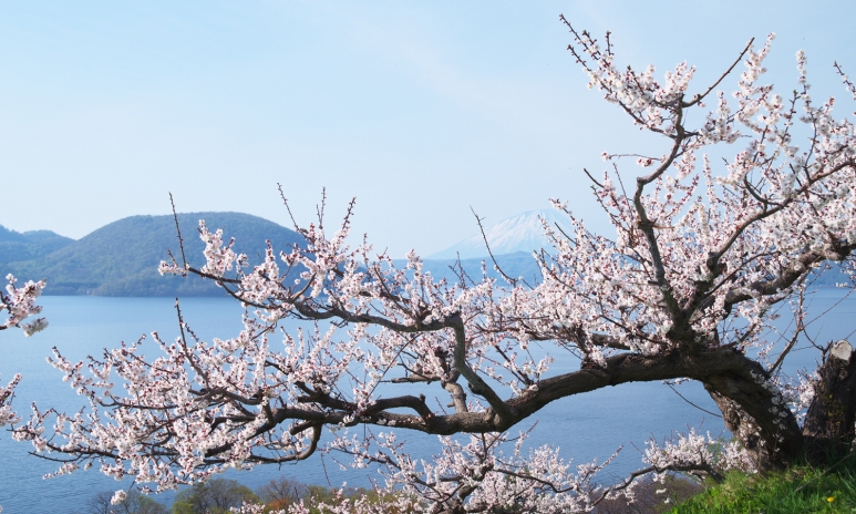 Hokkaido (Matusemae).jpg