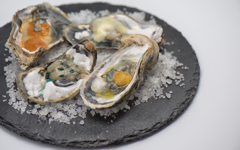 Oysters from Jaffna, north of Sri Lanka_Rare_UgaEscapes.jpg